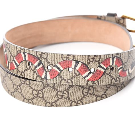 gucci kingsnake belt bag|gg Gucci belt sale.